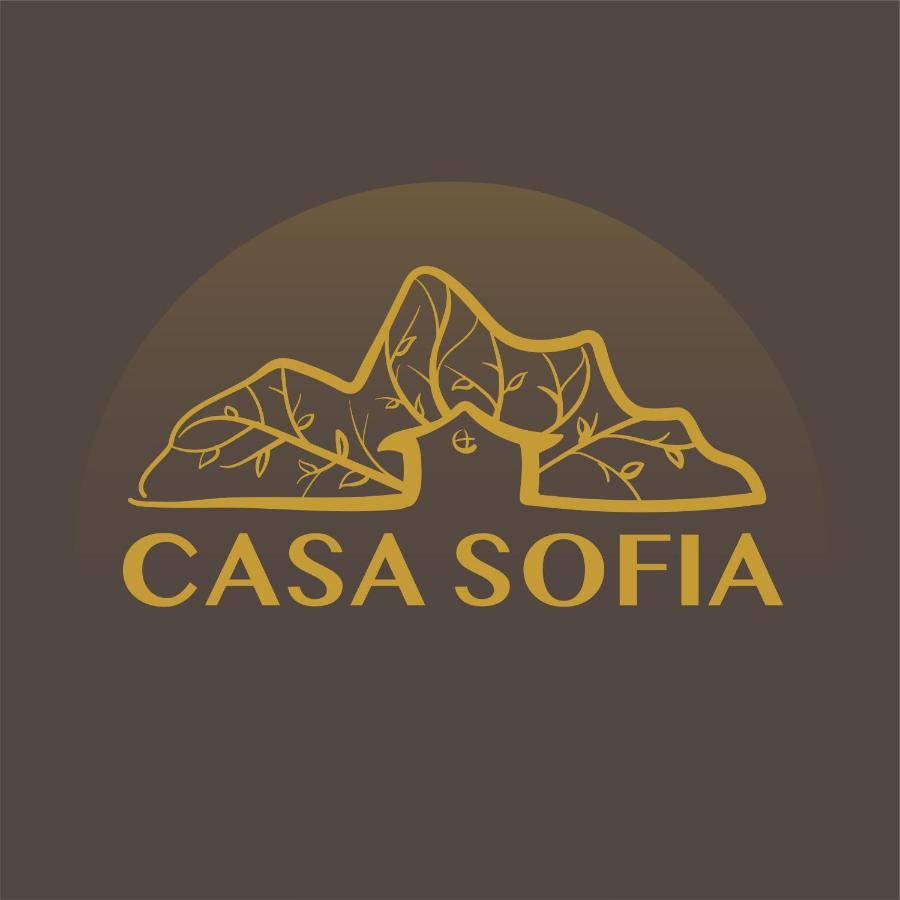 Vila Sofia Hateg Exterior photo